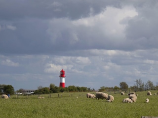 Leuchtturm Falshöft