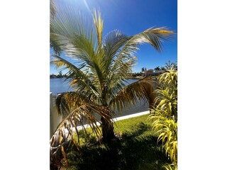 Villa Cape Coral Entorno 24