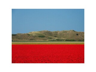 Casa per le vacanze Julianadorp Ambiente 30