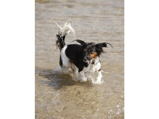 Casa per le vacanze Julianadorp Ambiente 31