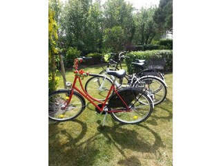 Casa per le vacanze Julianadorp Registrazione all'aperto 7