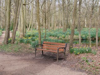 Appartamento per vacanze Oostkapelle Ambiente 19