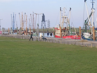 Kutterhafen in Dorum-Neufeld/ Leuchtturm Obereversand