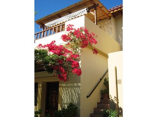 Ferienwohnung Sivas Außenaufnahme 5