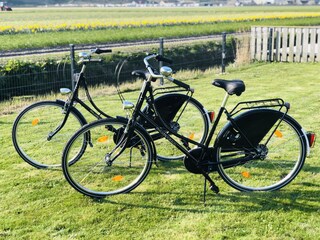 Villa Julianadorp Registrazione all'aperto 6