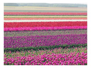 Villa Julianadorp Ambiente 38