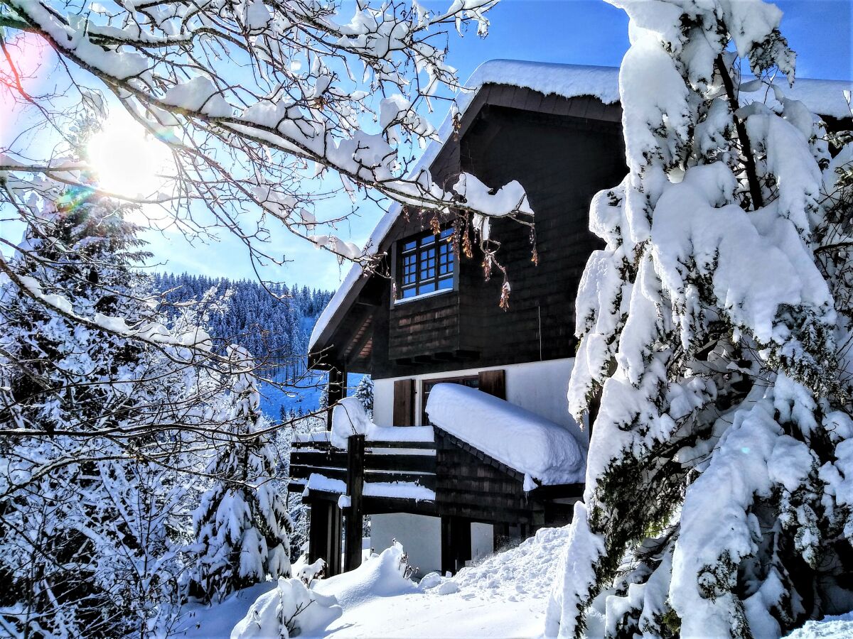 Das Haus im Winter 2022