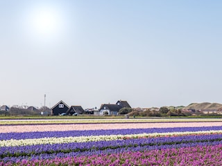 Vakantiehuis Julianadorp Omgeving 69