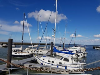 Hafen von Horumersiel