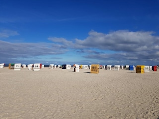 maritimes Reizklima
