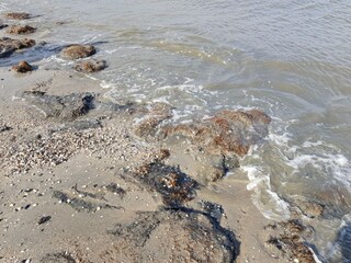 Weltnaturerbe Wattenmeer