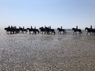 Ausritt Wattenmeer