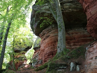 Altschlossfelsen Eppenbrunn