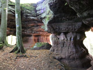 Altschlossfelsen Eppenbrunn