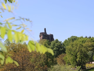 Fleckenstein in Frankreich