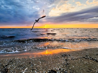 Strand Karlshagen