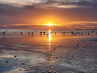 Sonnenaufgang Karlshagen Strand