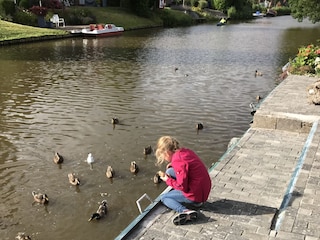 Fütterungszeit