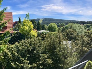 Vakantieappartement Hahnenklee Kenmerken 17