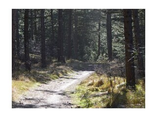 Casa per le vacanze Burgh-Haamstede Ambiente 20