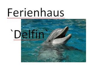 Casa per le vacanze Burgh-Haamstede Documento 28