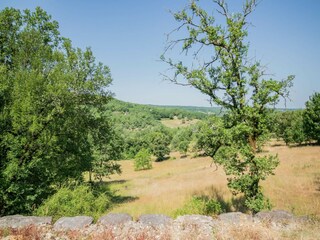 Cottage Gindou Outdoor Recording 6