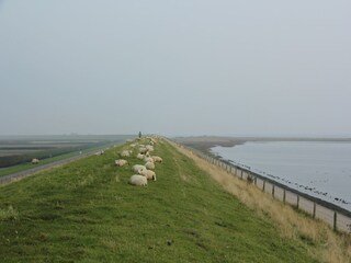 Bungalow De Cocksdorp Umgebung 19