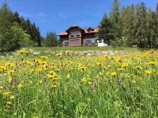 Vakantiehuisje Ramsau am Dachstein Buitenaudio-opname 5