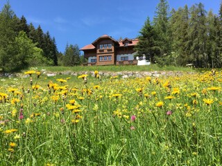 Vakantiehuisje Ramsau am Dachstein Buitenaudio-opname 6