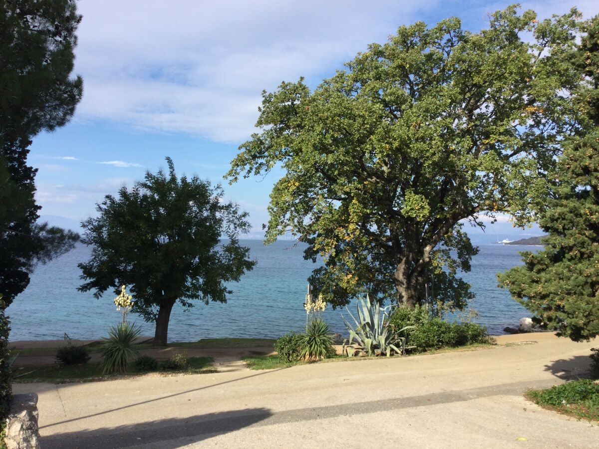 Spazieren gehen am Strand