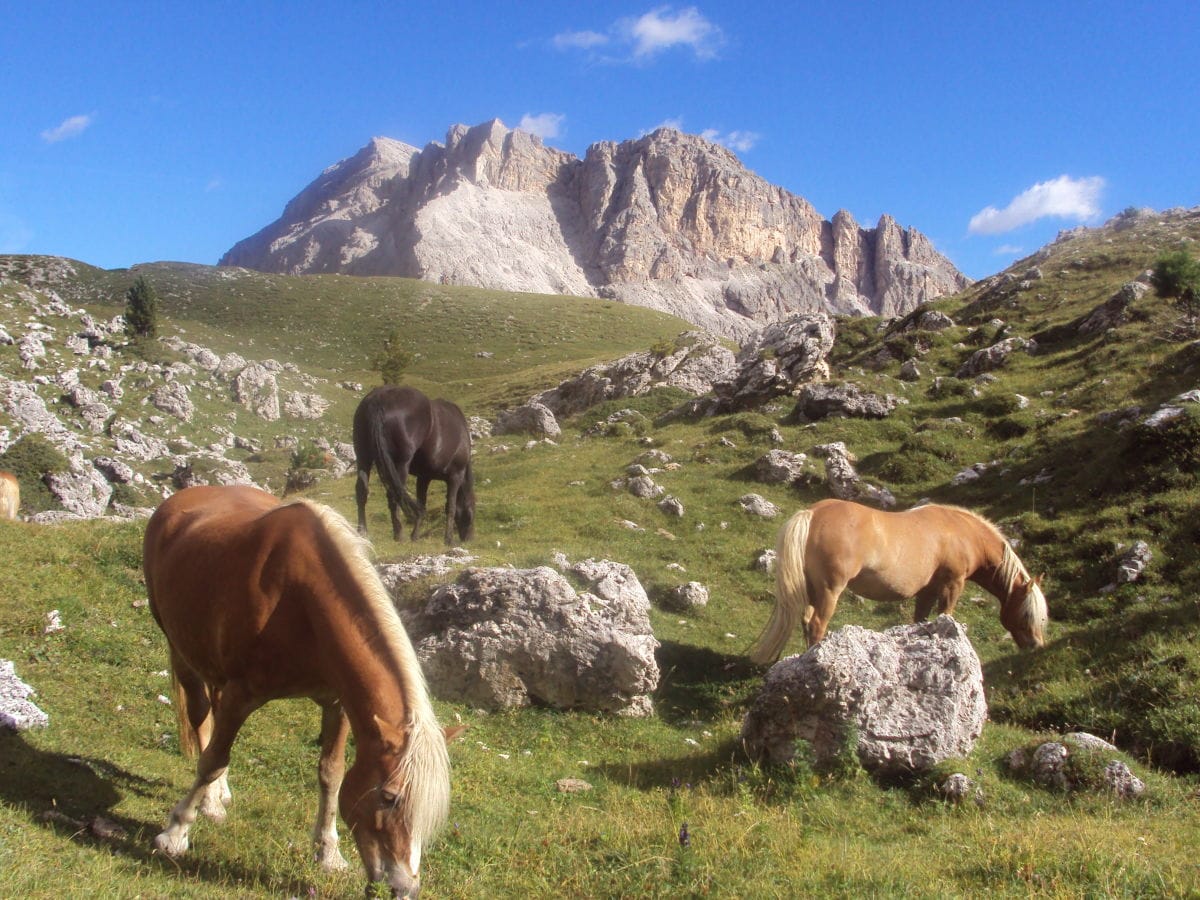 Dolomiten