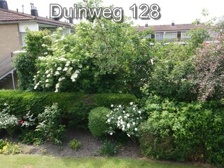 Appartamento per vacanze Westkapelle Registrazione all'aperto 4