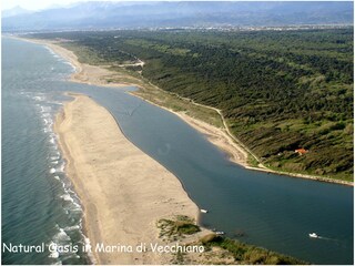 Casa per le vacanze Forte dei Marmi Ambiente 37