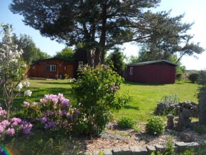 Bungalow Sommerblockhaus "Lütt Hüsing" - Dierhagen - image1