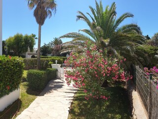 Appartamento per vacanze Cala D'Or Registrazione all'aperto 5