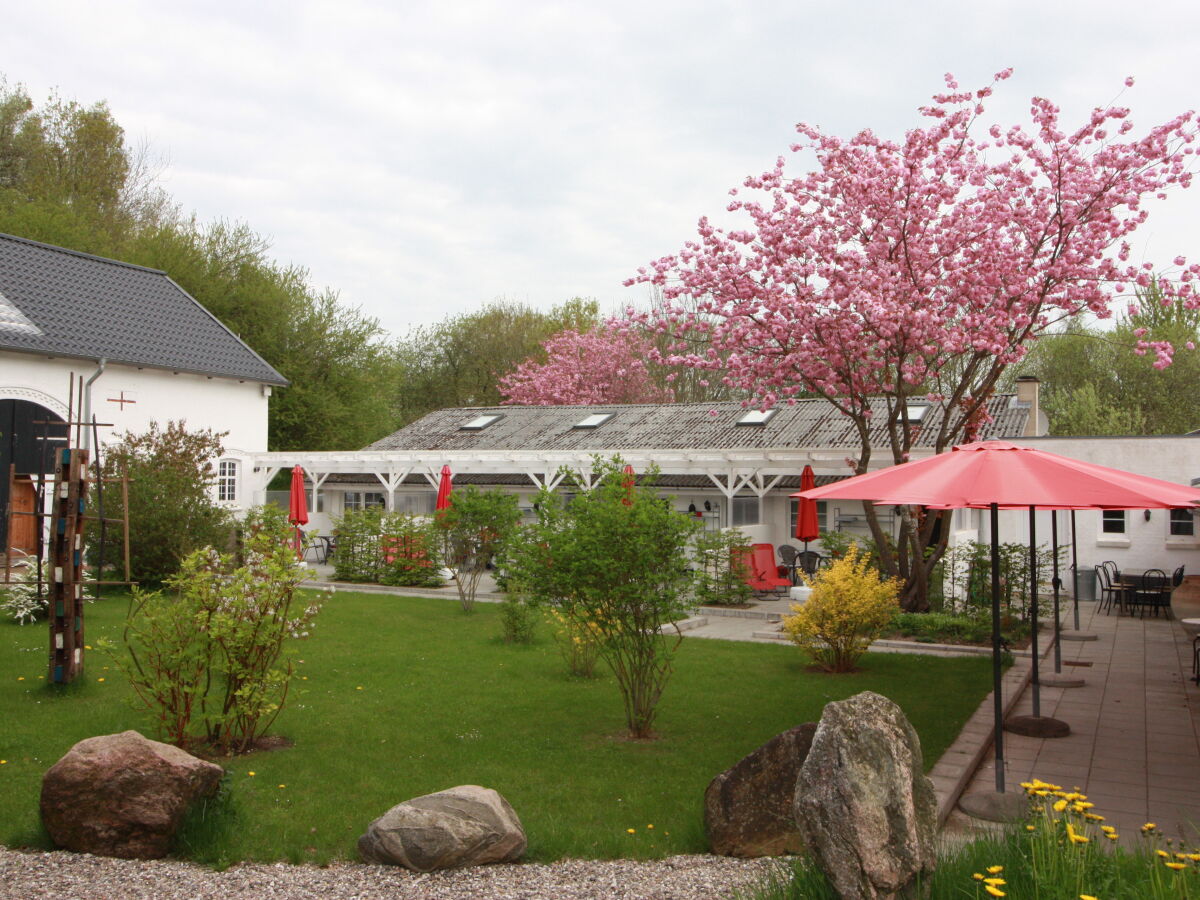 Vorgarten mit Terrassen im Frühling