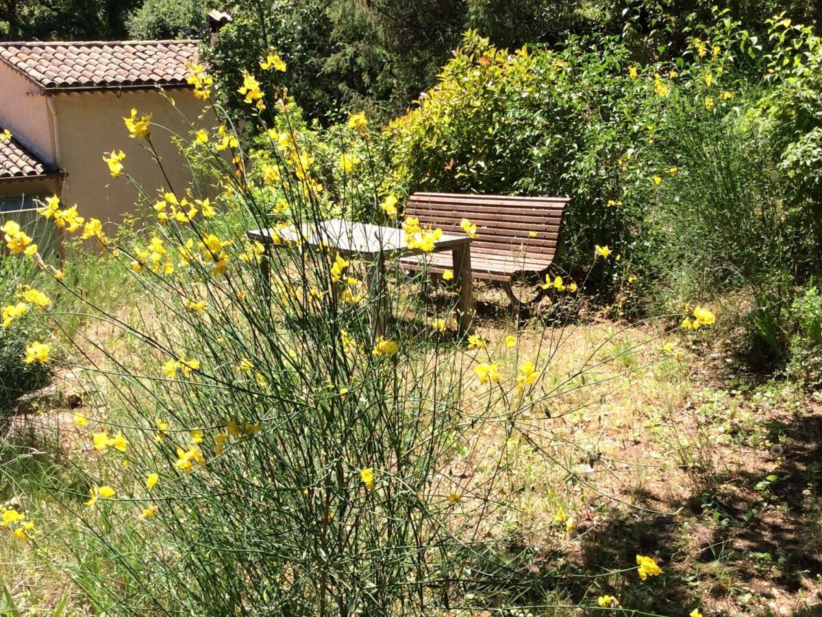 lauschiger Sitzplatz im Frühling