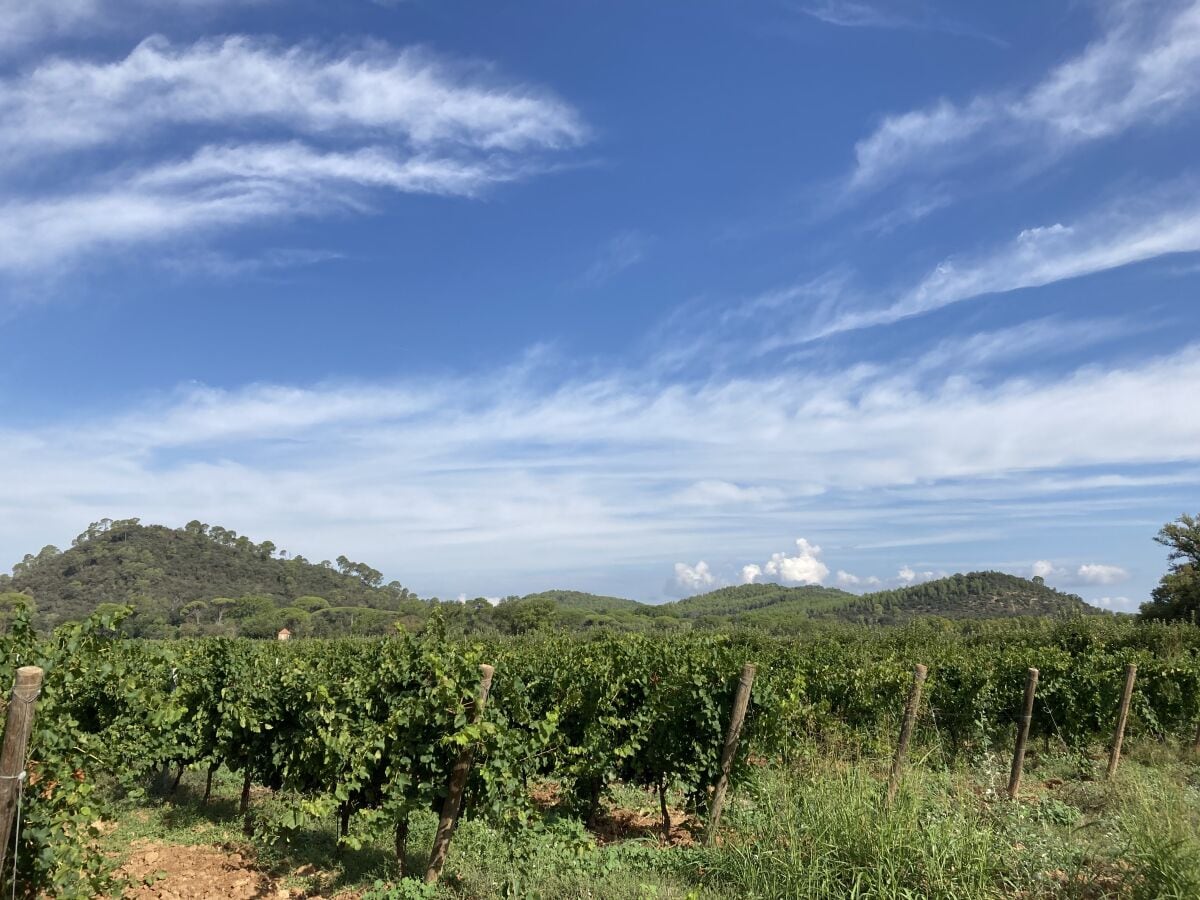 Spaziergang durch die Rebberge Chateau Astros