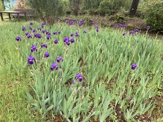 Vakantiehuis Lorgues Buitenaudio-opname 22