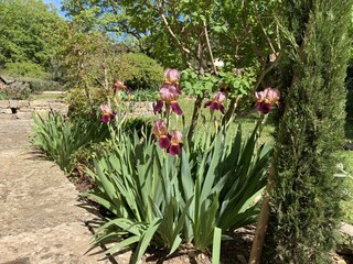 Vakantiehuis Lorgues Buitenaudio-opname 18