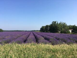 Casa per le vacanze Lorgues Ambiente 35