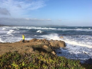 Casa per le vacanze Lorgues Ambiente 36