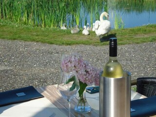 Vakantiehuis Biddinghuizen Omgeving 21