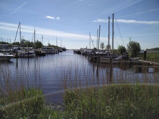 Vakantiehuis Biddinghuizen Omgeving 33