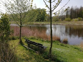 Vakantiehuis Biddinghuizen Omgeving 29