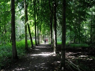 Vakantiehuis Biddinghuizen Omgeving 21