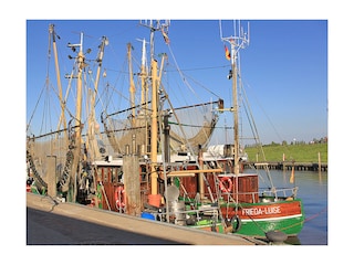 Krabbenkutter im Hafen von Greetsiel