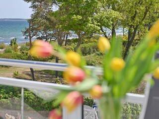 Ausblick von der Dachterrasse