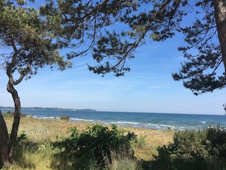 Düne und Strand vor der Unterkunft