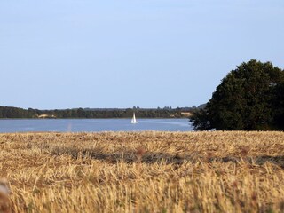 Umgebung/Wassersport